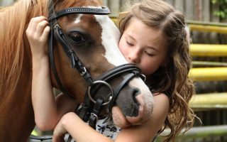 pony, girl, horse