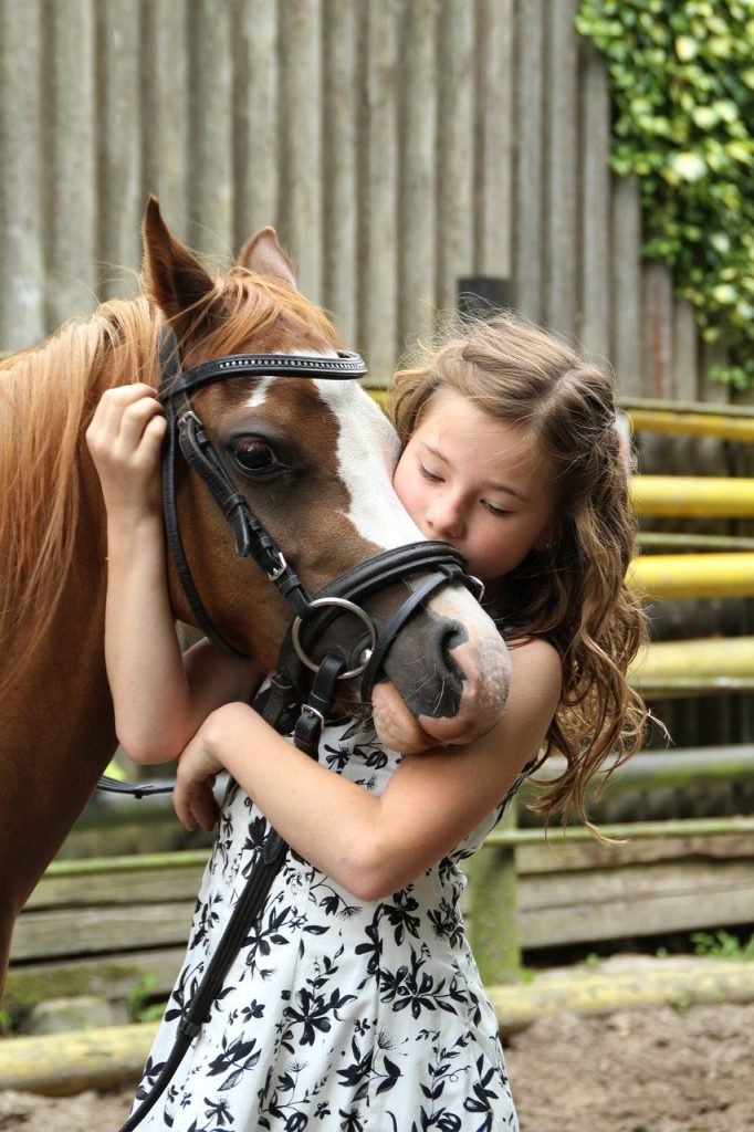 pony, girl, horse